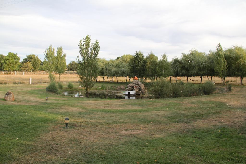 Bed and Breakfast O Pelicano Alfaiates Экстерьер фото